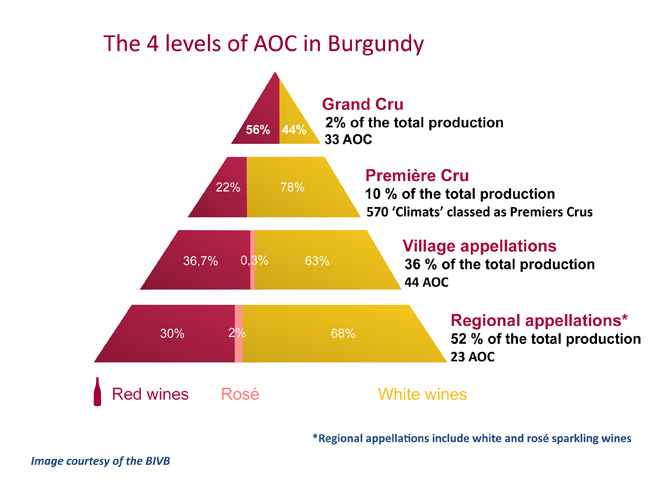 The 4 levels of AOC in Burgundy: regional, village, premier cru, and grand cru.