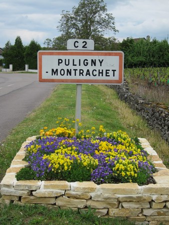DISCOVER PULIGNY MONTRACHET MIXED WHITE CASE 1