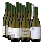 twelve white wine bottles