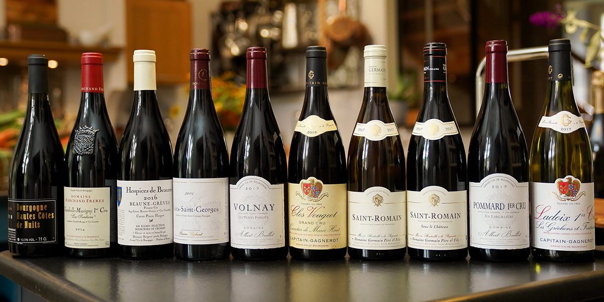 Various Burgundy Wine bottles displayed in a row