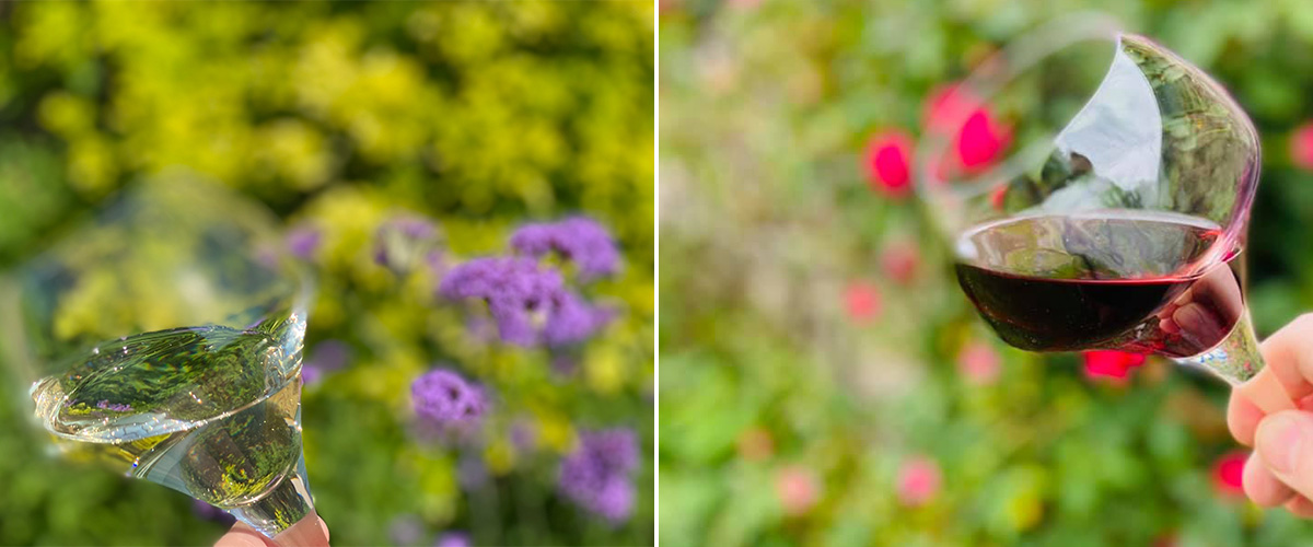 A glass of white wine in front of flowers, a glass of red wine in front of flowers.