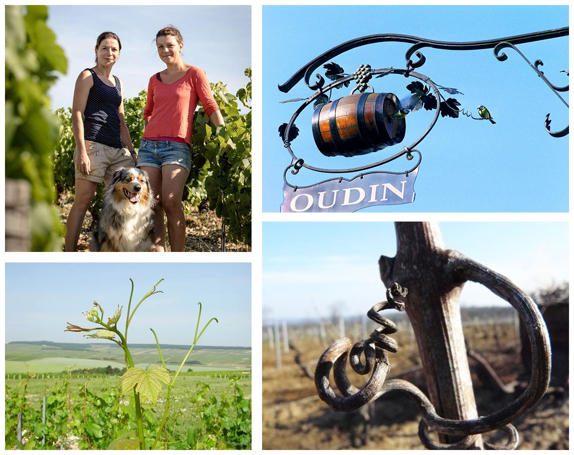 Domaine Oudin: The Oudin sisters, Nathalie and Isabelle.