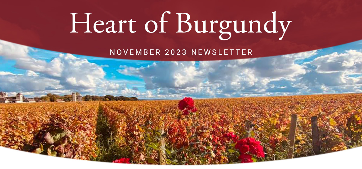 Heart of Burgundy Newsletter - November 2023