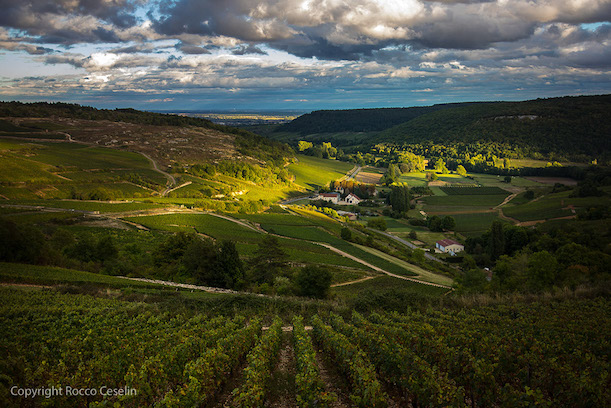 Burgundy landscape