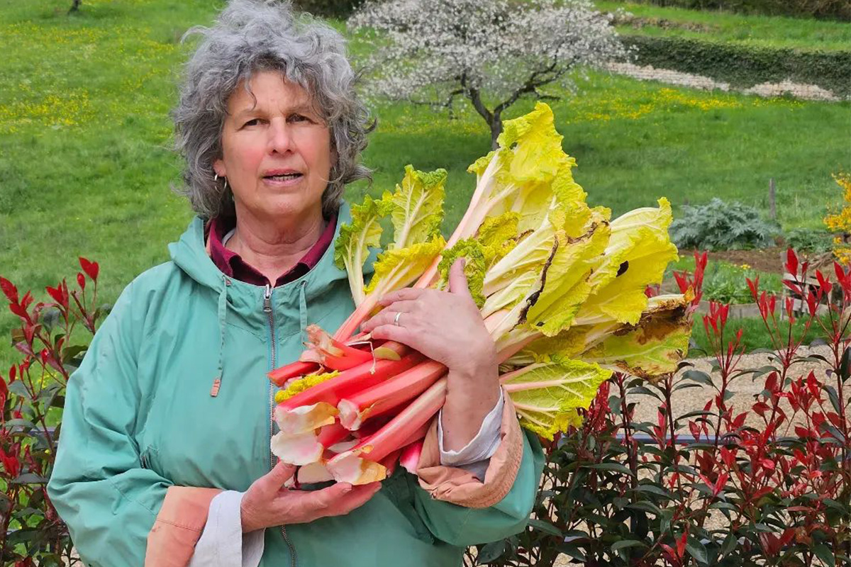 Ellie gathering rhubarb in the garden at Domaine de Cromey