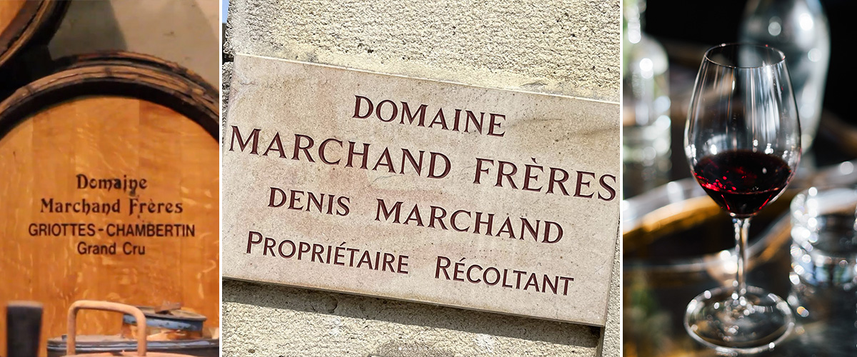 Domaine Marchand Freres
