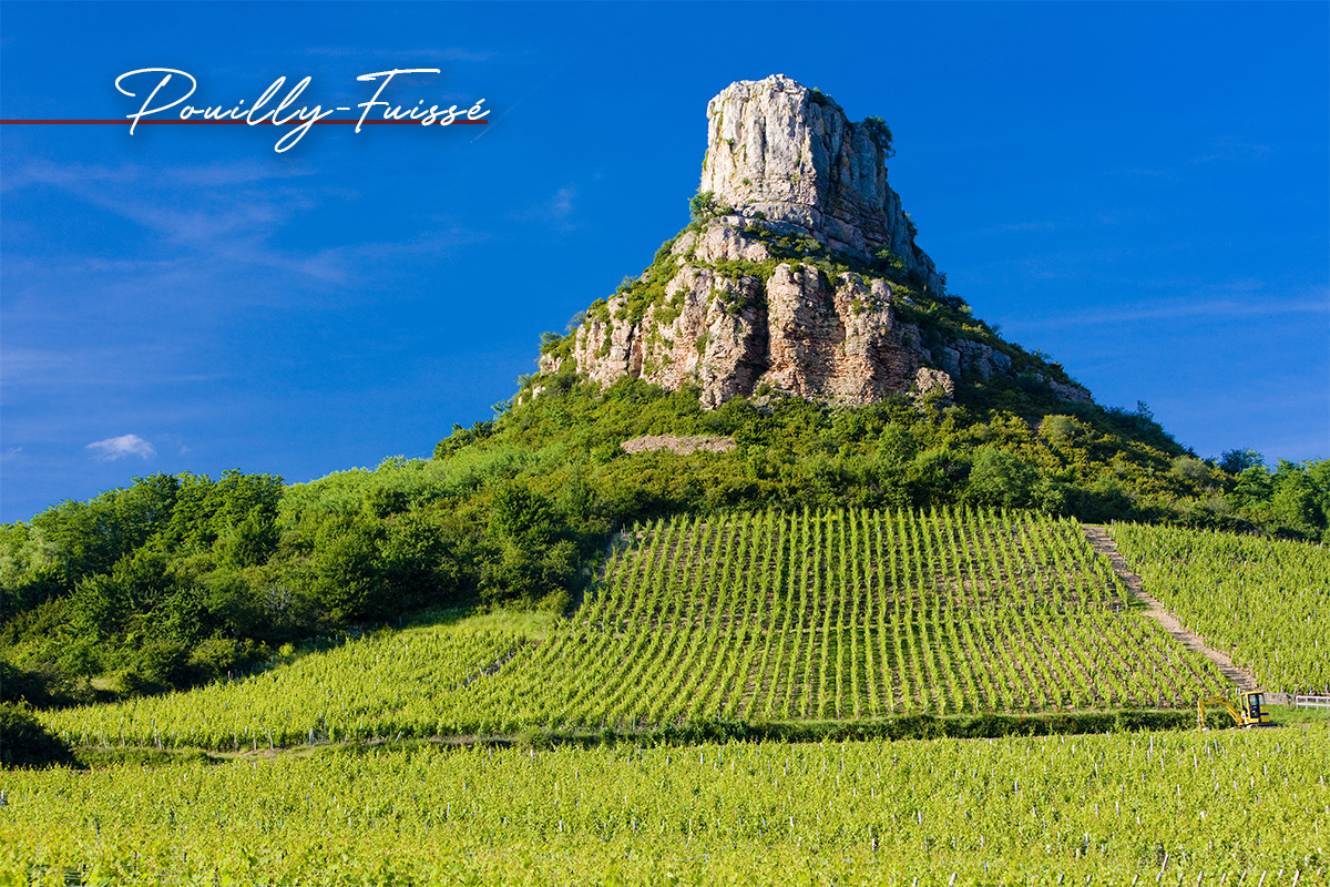 A new era: Pouilly-Fuissé finally gets its Premier Cru status