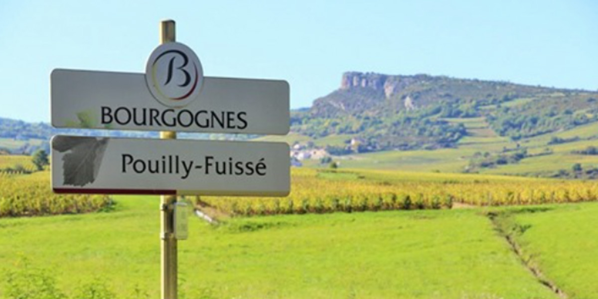 Pouilly-Fuissé sign in a vineyard in France