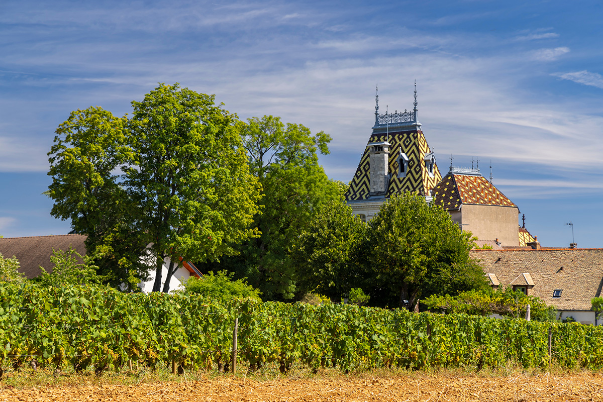 Aloxe-Corton and Beyond