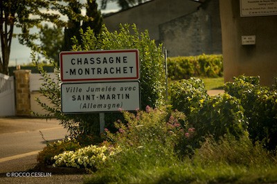 Sign reading Chassagne-Montrachet Ville Jumelee avec Saint-Martin among beautiful greenery