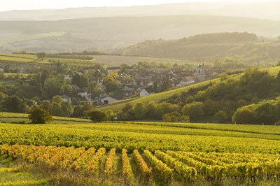 A colorful vineyard at dusk in Irancy, Burgundy, France.