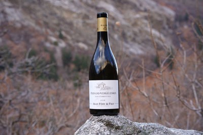 A bottle of Pernand-Vergelesses wine perched on a rock in front of a brambly landscape. 