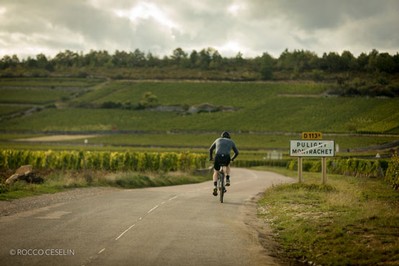 A person riding a bicycle down a beautiful, vineyard-lined road in Puligny-Montrachet, Burgundy, France. 