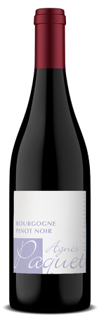 Agnes Paquet Bourgogne Pinot Noir 2021 1