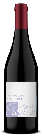 Agnes Paquet Bourgogne Pinot Noir 2022 1