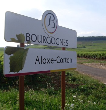JEAN-JACQUES GIRARD ALOXE-CORTON 2022 6-PACK 1