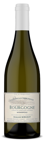 Domaine Borgeot Bourgogne Blanc 'Clos de la Carbonade' 2020 1