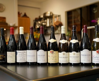 $399 INTRODUCTION TO BURGUNDY MIXED CASE 1