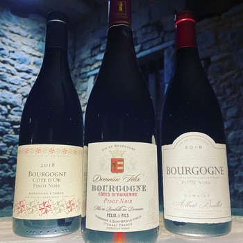 VIRTUAL TASTING - Bourgogne Rouge From Across Burgundy 1