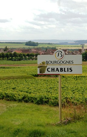 LEFT VS RIGHT BANK 2019 CHABLIS 6-PACK 1