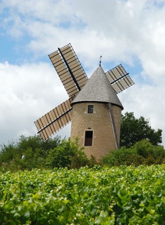 DOMAINE BORGEOT CHASSAGNE-MONTRACHET 2022 6-PACK 1