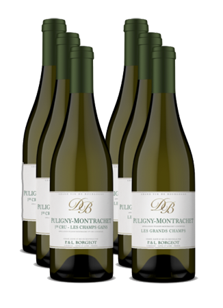 DOMAINE BORGEOT PULIGNY-MONTRACHETS 2016 MIXED 6 BOTTLES
