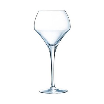 Red Wine Glass 1