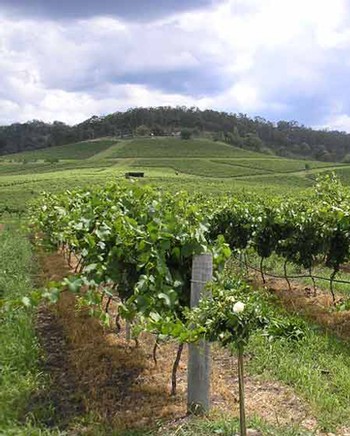 DISCOVER GIVREY-CHAMBERTIN MIXED RED 6-PACK 1