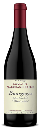 DOMAINE MARCHAND FRERES BOURGOGNE ROUGE 2018 CASE 1