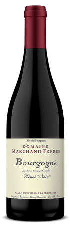 DOMAINE MARCHAND FRERES BOURGOGNE COTE D’OR ROUGE CUVEE ELINE 2021 6-PACK 1