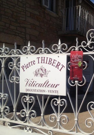 DOMAINE PIERRE THIBERT REDS CASE