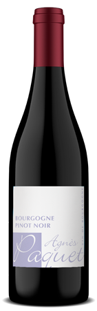 Agnes Paquet Bourgogne Pinot Noir 2017