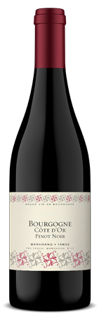Marchand-Tawse Bourgogne Pinot Noir 2018 1
