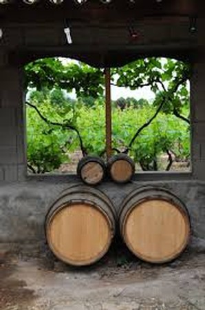 RICHARD ROTTIERS MIXED CASE