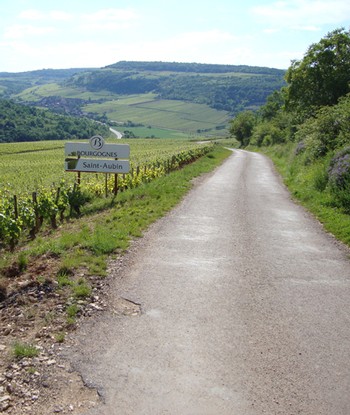 DOMAINE GILLES BOUTON GOLDEN TRIANGLE CASE 1