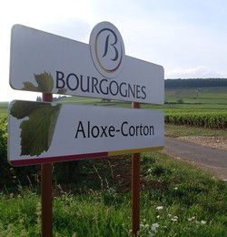 JEAN-JACQUES GIRARD ALOXE-CORTON 2022 6-PACK