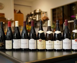 $399 INTRODUCTION TO BURGUNDY WHITE CASE