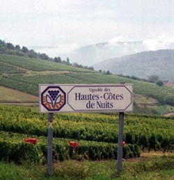 DISCOVER THE HAUTE COTE DE NUITS MIXED CASE