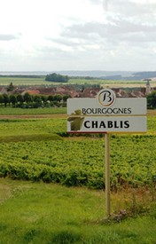 LEFT VS RIGHT BANK 2019 CHABLIS 6-PACK