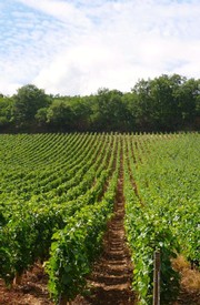 EXPERIENCE CÔTE CHALONNAISE MIXED CASE