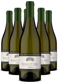 JEAN-BAPTISTE PONSOT RULLY 1ER CRU 'MOLESME' VERTICAL 6-PACK