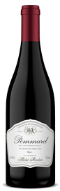 Domaine Michel Arcelain Pommard 'Noizons'  2010