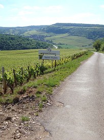 GILLES BOUTON SAINT AUBIN 1ER CRU 'MERGERS DES DENTS DE CHIEN' VERTICAL CASE