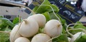 Turnip Soup with a Mirepoix of Snails