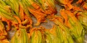 Zucchini Flowers Stuffed with Salt Cod