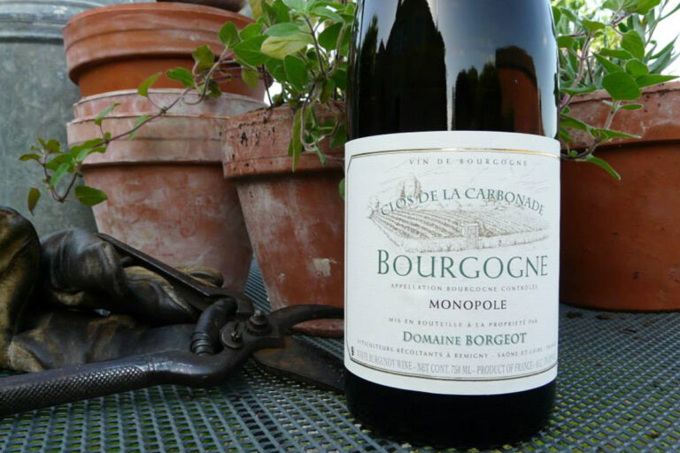 Domaine Borgeot wine