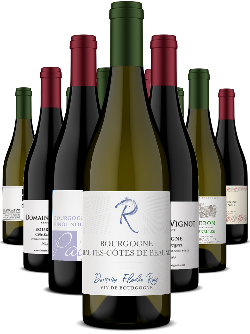 Burgundy Wine Club – 12 Bottle Red & White