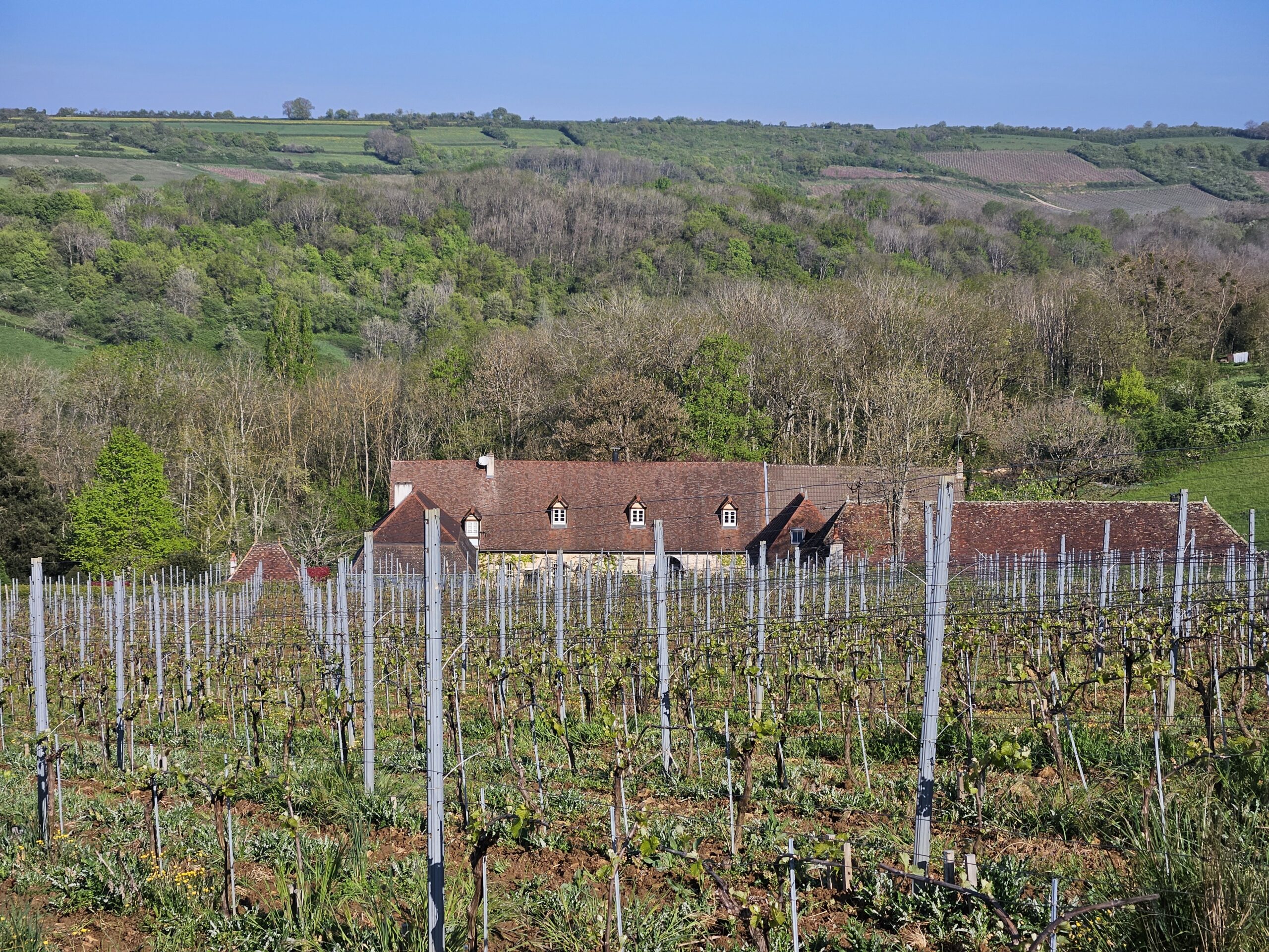 Domaine de Cromey vineyard