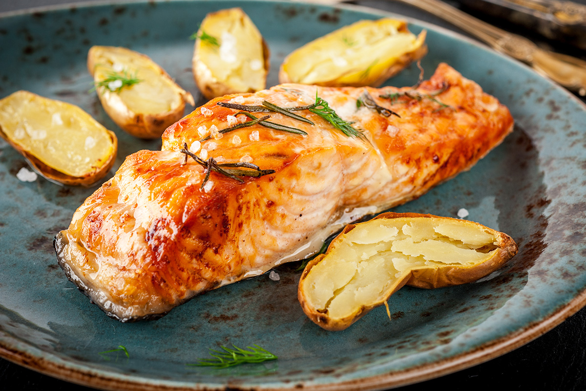 Salmon