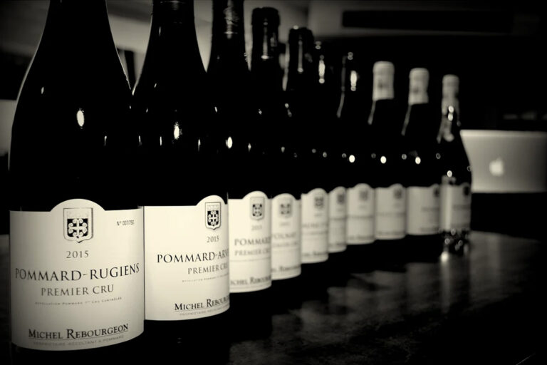 Wines from Domaine Michel Rebourgeon